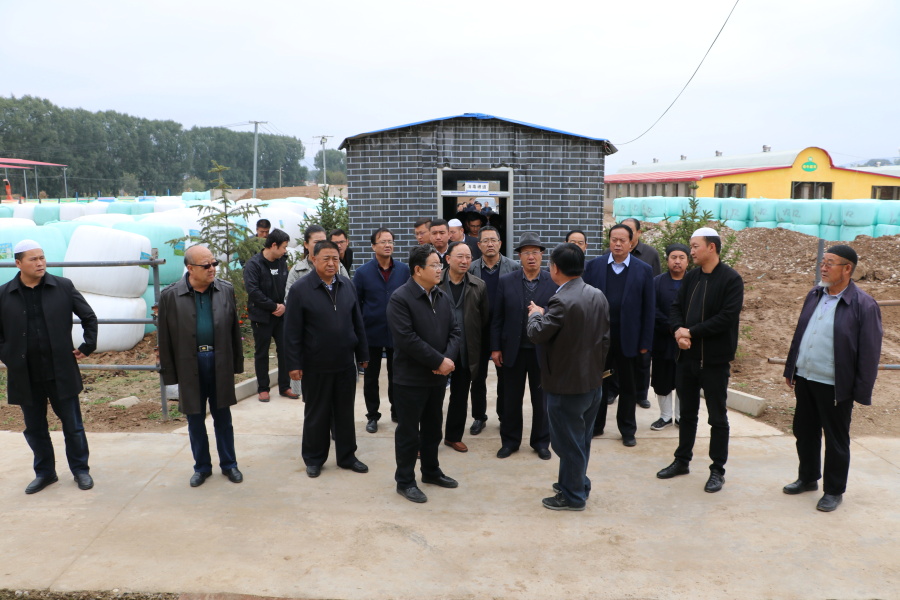 IMG_4541_看图王.jpg IMG_4541_看图王.jpg