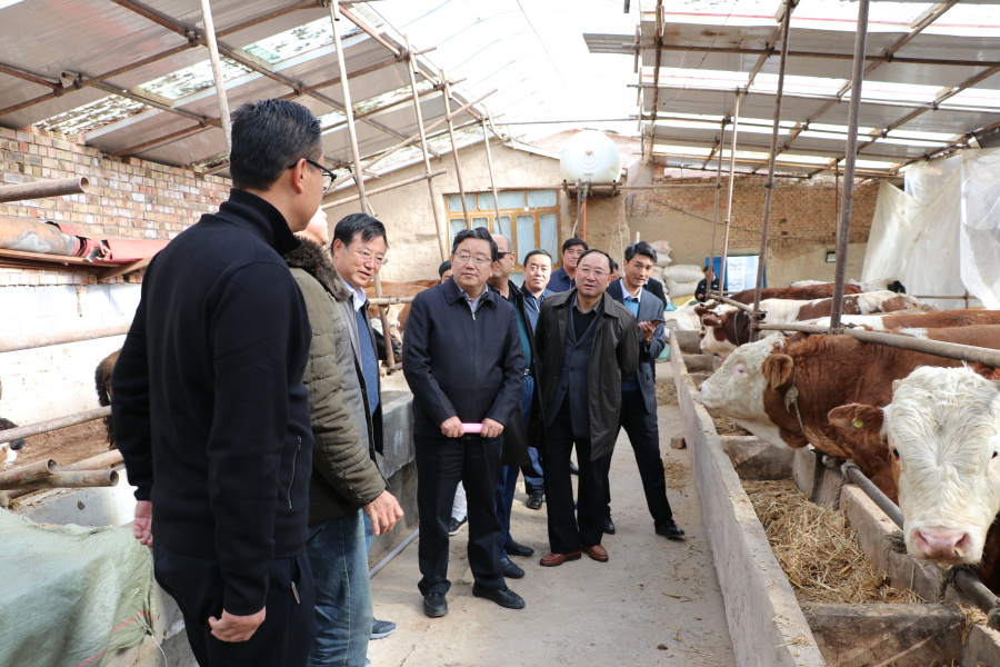 IMG_4368_复件.jpg IMG_4368_复件.jpg