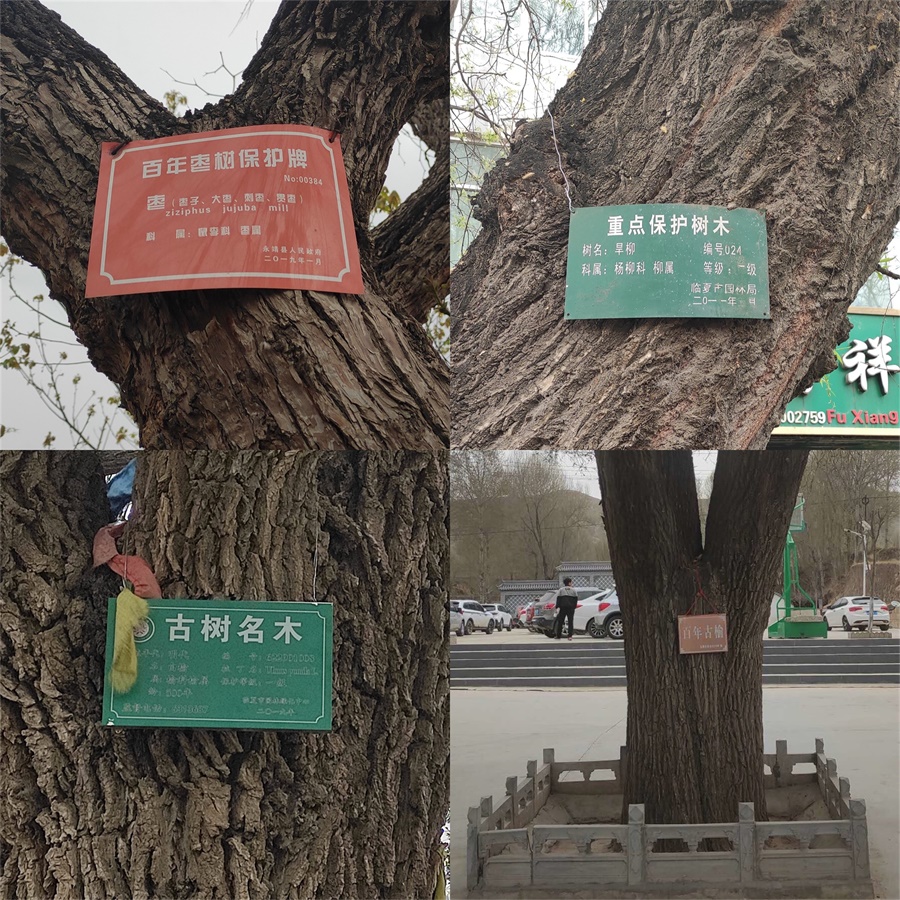 微信图片_20200421163813.jpg