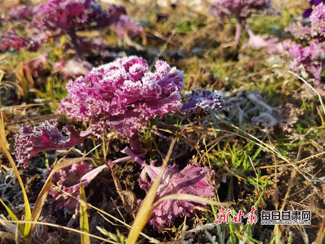 微信图片_20201118090048.jpg