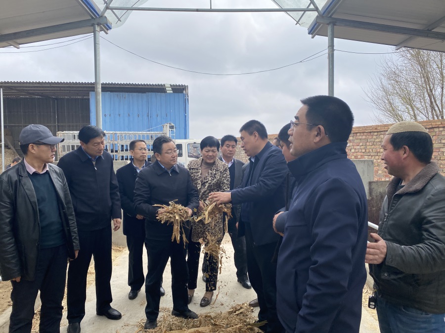 微信图片_20210412171846.jpg