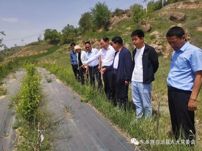 微信图片_20230602150613.jpg